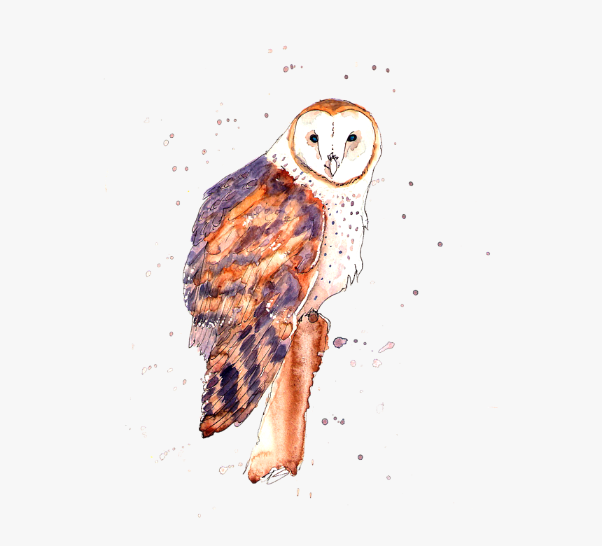 Screech Owl, HD Png Download, Free Download