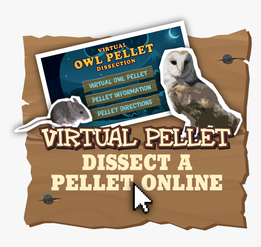 Owl Pellet, HD Png Download, Free Download