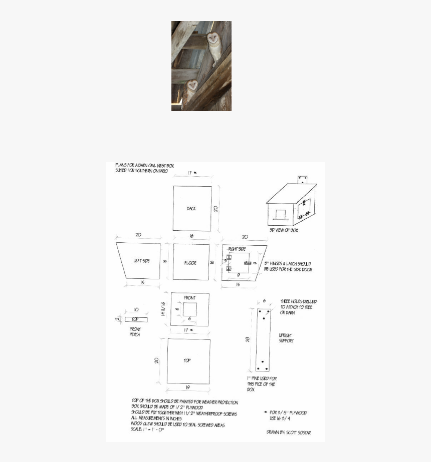 Picture - Barn Owl Nest Box Plans, HD Png Download, Free Download