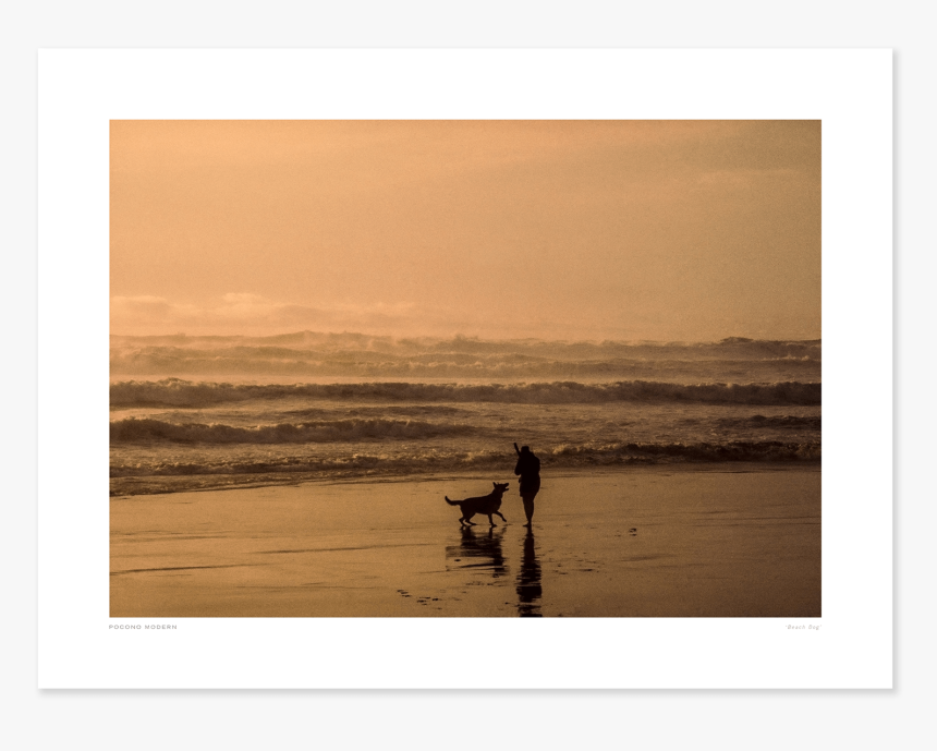 Main Beach Dog, HD Png Download, Free Download