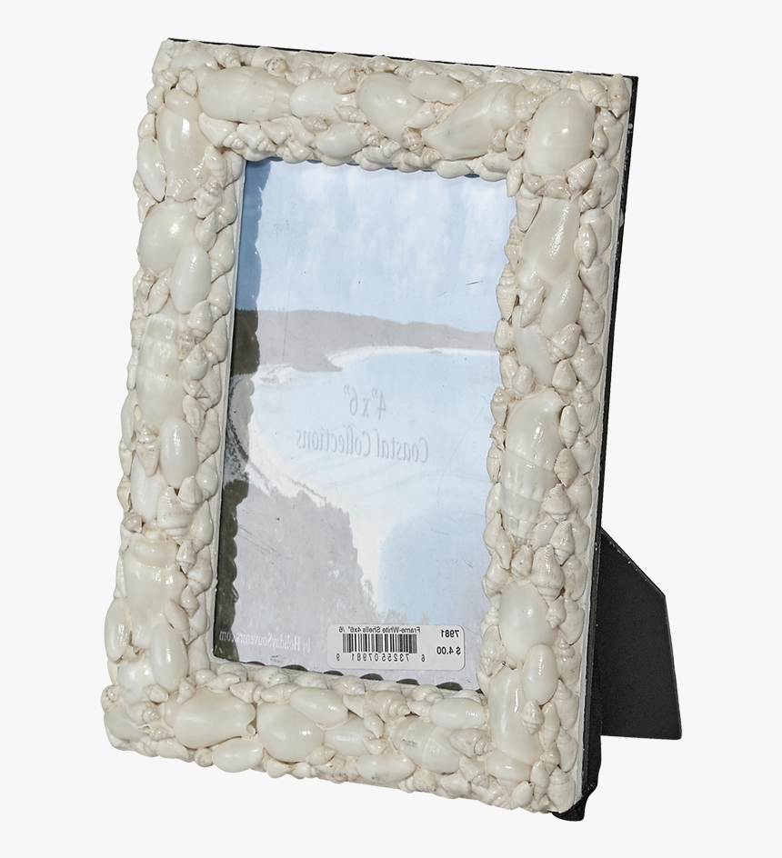 White Shells Photo Frame - Picture Frame, HD Png Download, Free Download