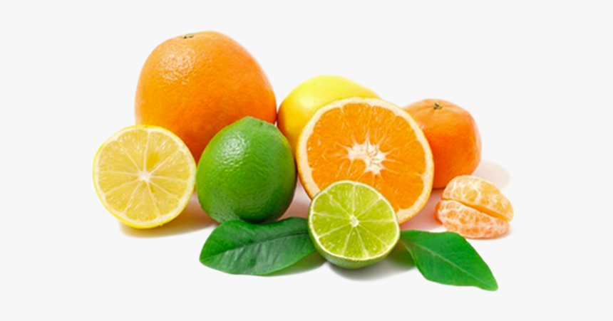 Lemon Fruit Png - Citrus Fruits Transparent Background, Png Download, Free Download