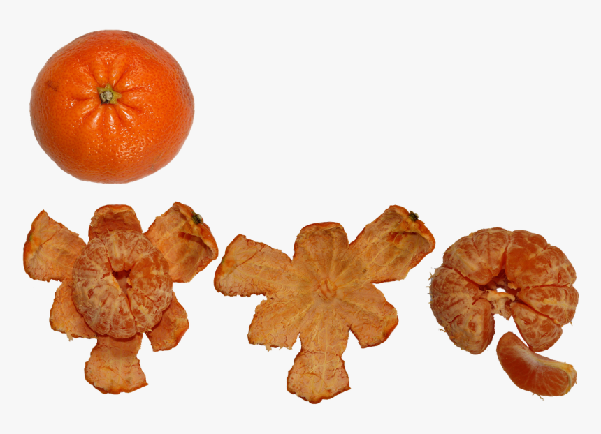 Fruit, Citrus, Healthy, Fresh, Orange, Food, Vitamin - Mandarin Orange, HD Png Download, Free Download
