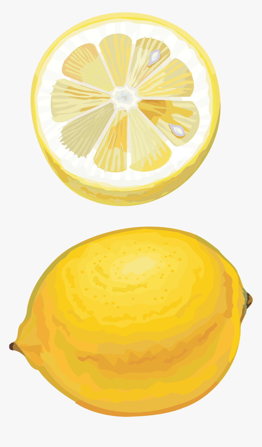 Drawing Lemons Citrus - Lemon Drawing Png, Transparent Png, Free Download