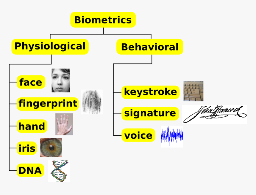 Biometrics Traits Classification - E Commerce Security Tools, HD Png Download, Free Download