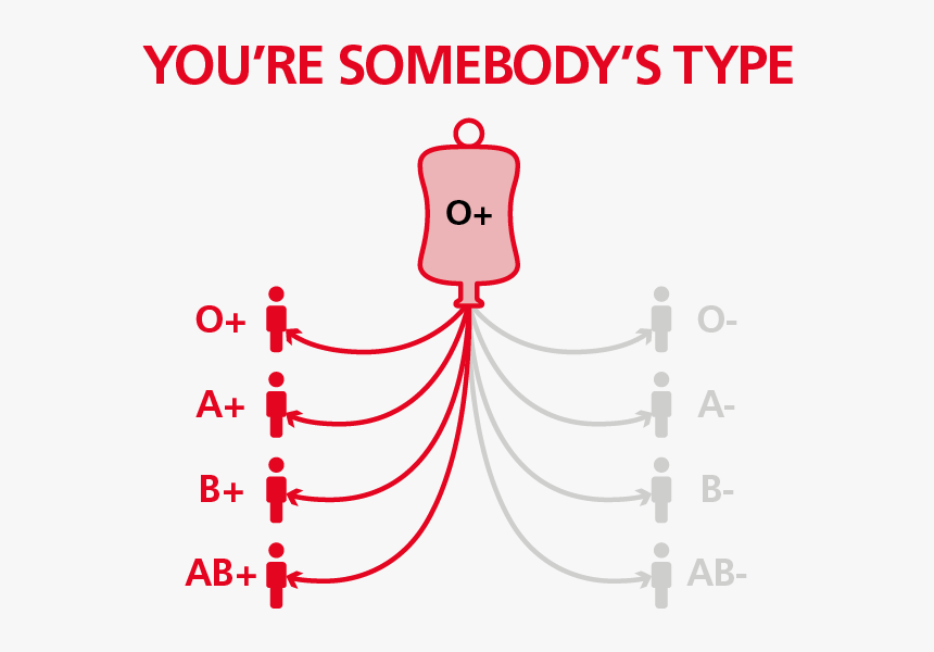 O Positive Blood Type, HD Png Download, Free Download