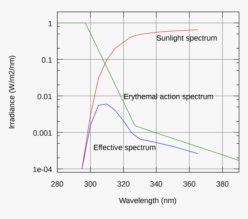 Erythemal Action Spectrum, HD Png Download, Free Download