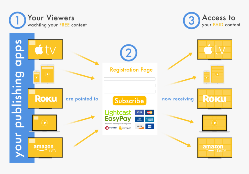Subscriber & Payment Processing System - Roku, HD Png Download, Free Download
