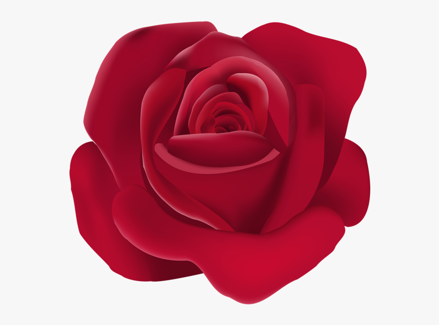 Rose Png - Rose, Transparent Png, Free Download