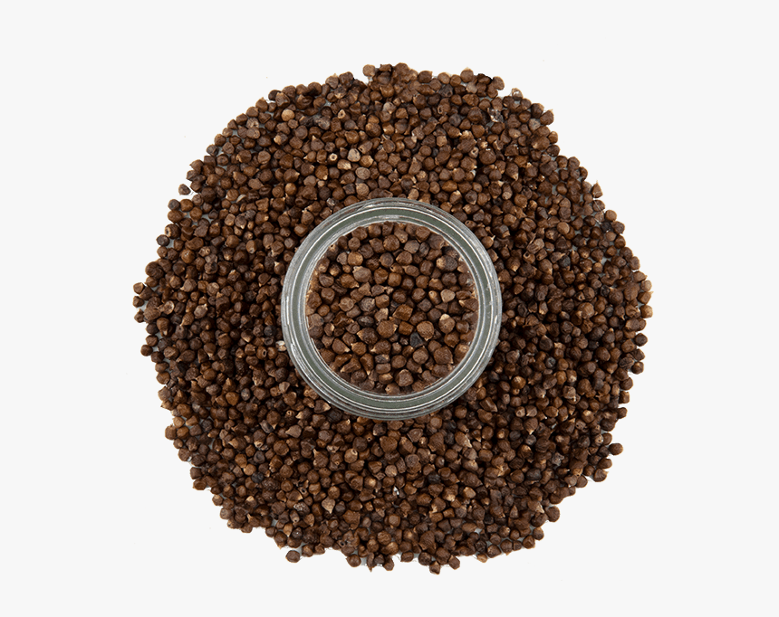 Grains Of Paradise 3 - Seed, HD Png Download, Free Download