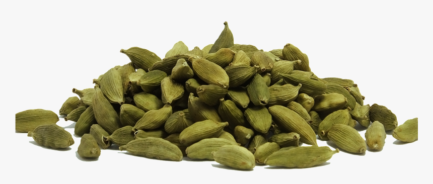 Cardamom Png, Transparent Png, Free Download