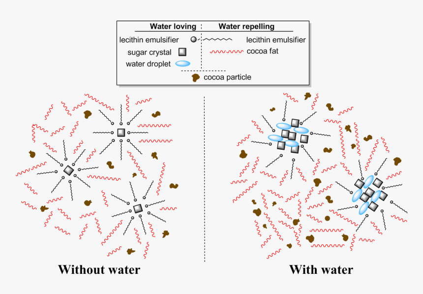 Diagram, HD Png Download, Free Download