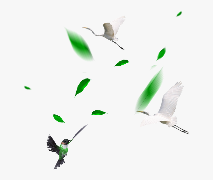 Clip Art Crane Fly Transprent Png - Green Leaf Fly Png, Transparent Png, Free Download