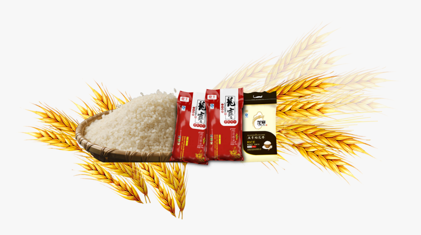 Rice Gadu Common Barley - Jasmine Rice, HD Png Download, Free Download