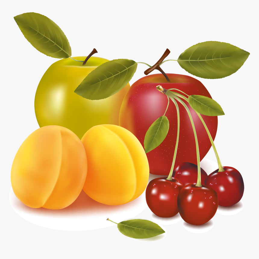 Transparent Prunes Clipart - Fruit Vector Icon Download Free, HD Png Download, Free Download