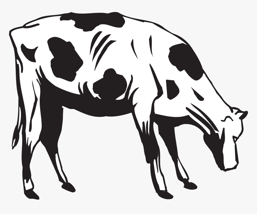 Grass Black And White Black Cow Eating Grass Clipart - Cow Eating Clipart, HD Png Download, Free Download