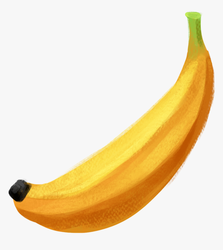 Banana Illustration Png, Transparent Png, Free Download