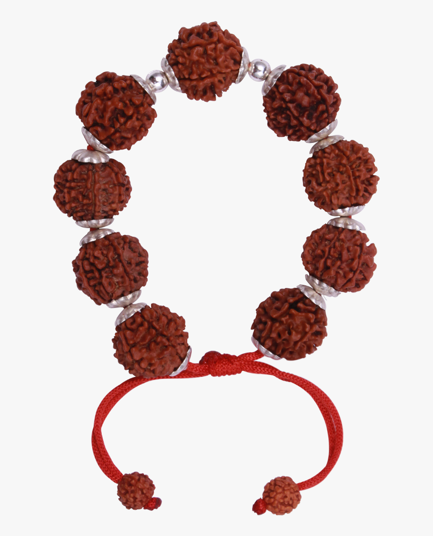 Mahalaxmi Rudraksha Bracelet Rudraksha - Sceptre Vector, HD Png Download, Free Download