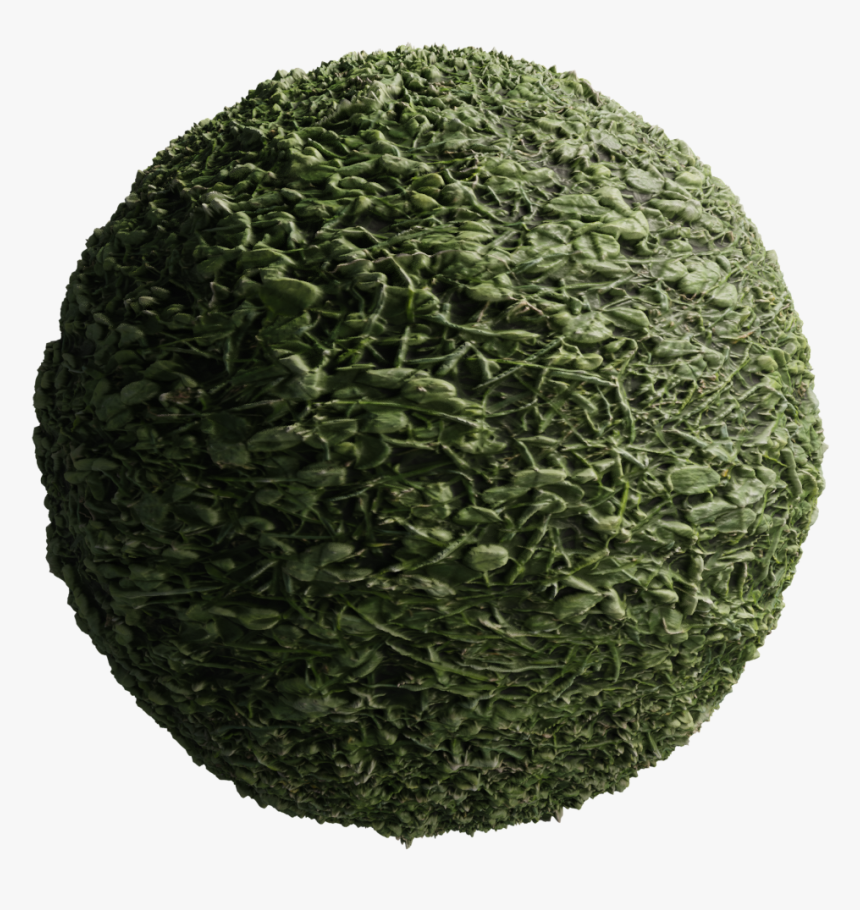 Artificial Turf, HD Png Download, Free Download