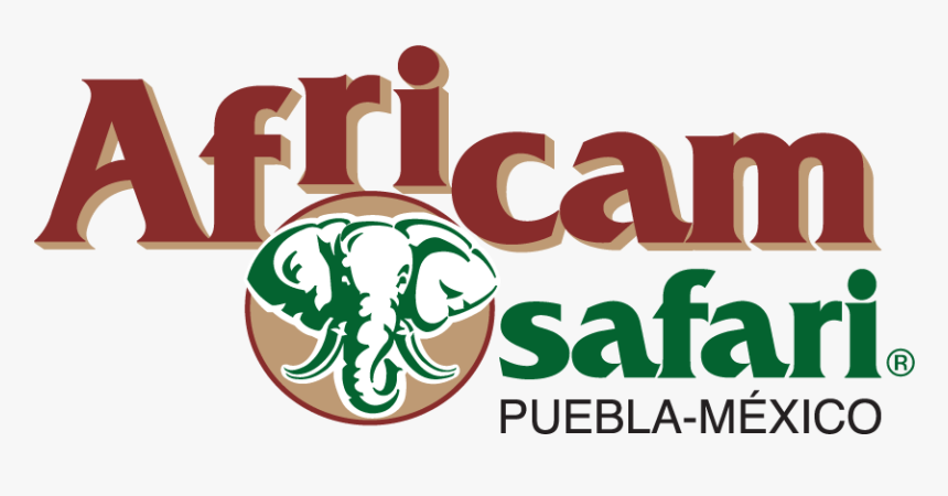 Africam Safari, HD Png Download, Free Download