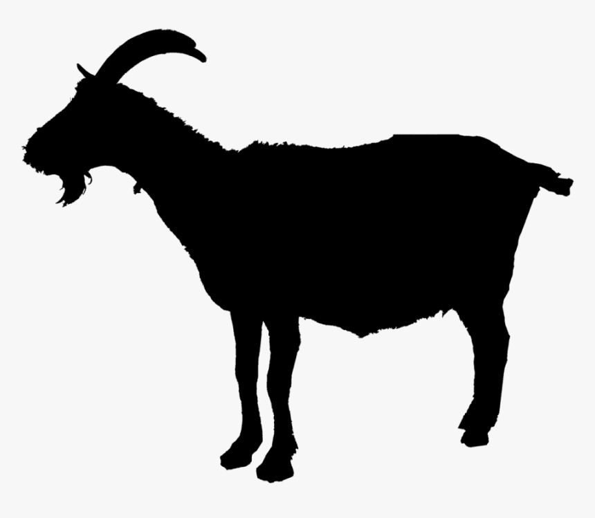 Stock Photography Silhouette Vector Graphics Illustration - Goat Silhouette Vector Png, Transparent Png, Free Download