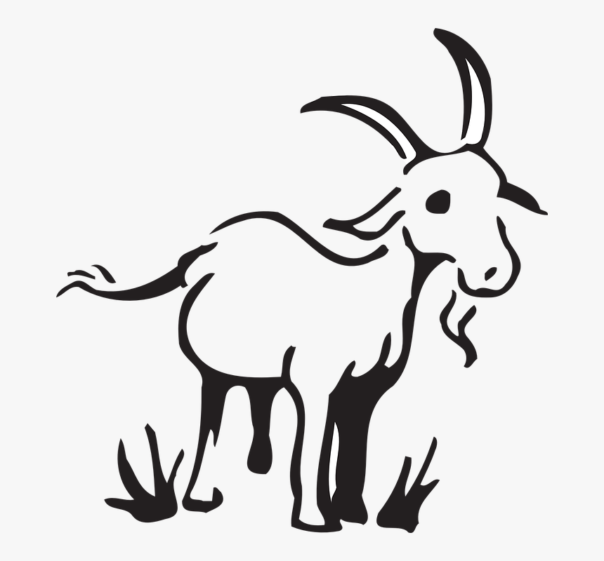 Barn, Farm, Grass, Goat, Standing, Animal - Simple Goat Clipart Black And White, HD Png Download, Free Download