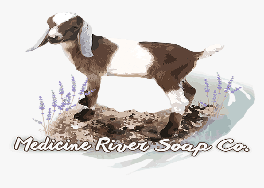 Medicine River Soap Company - Goat, HD Png Download, Free Download