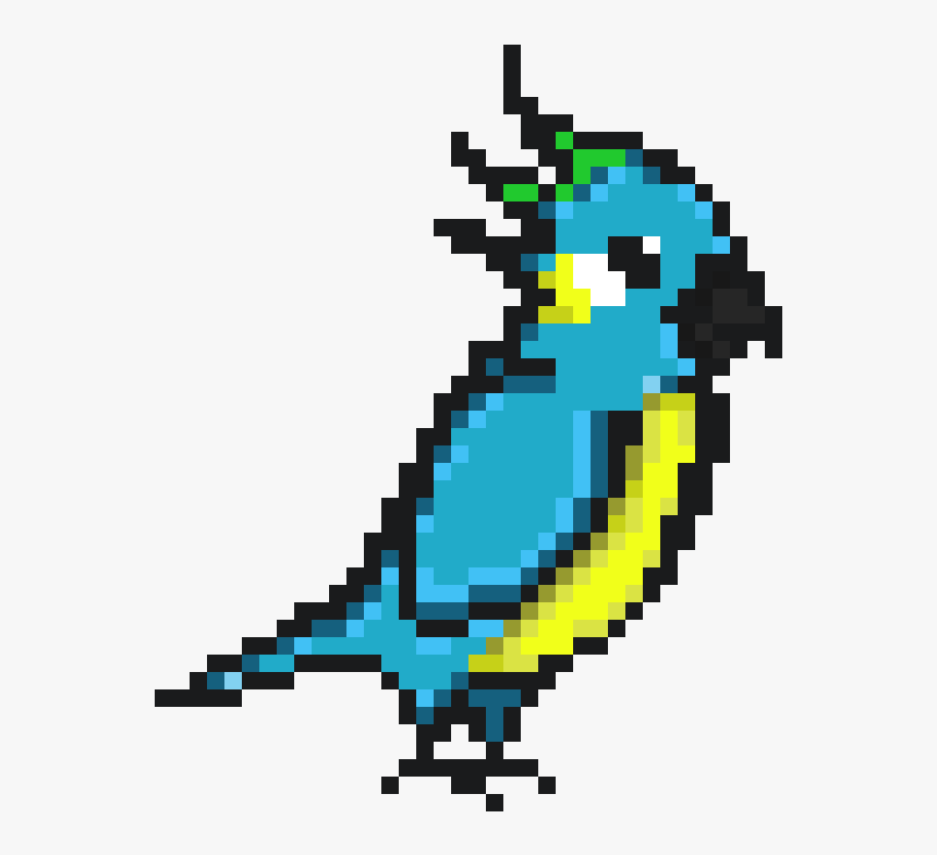 Parrot, HD Png Download, Free Download