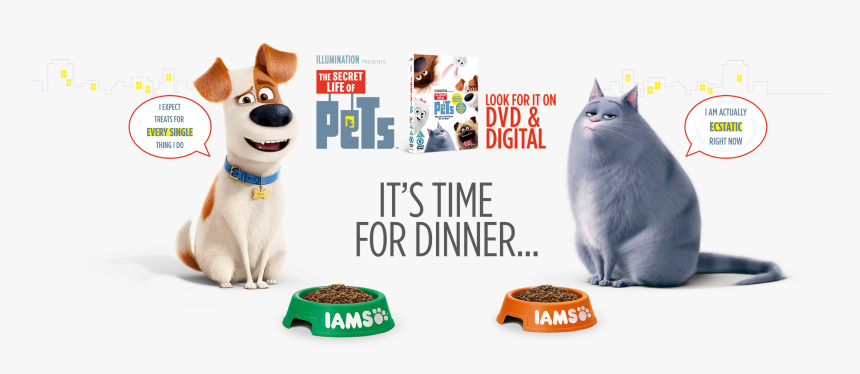 It"s Time For Dinner - Background Secret Life Of Pets, HD Png Download, Free Download