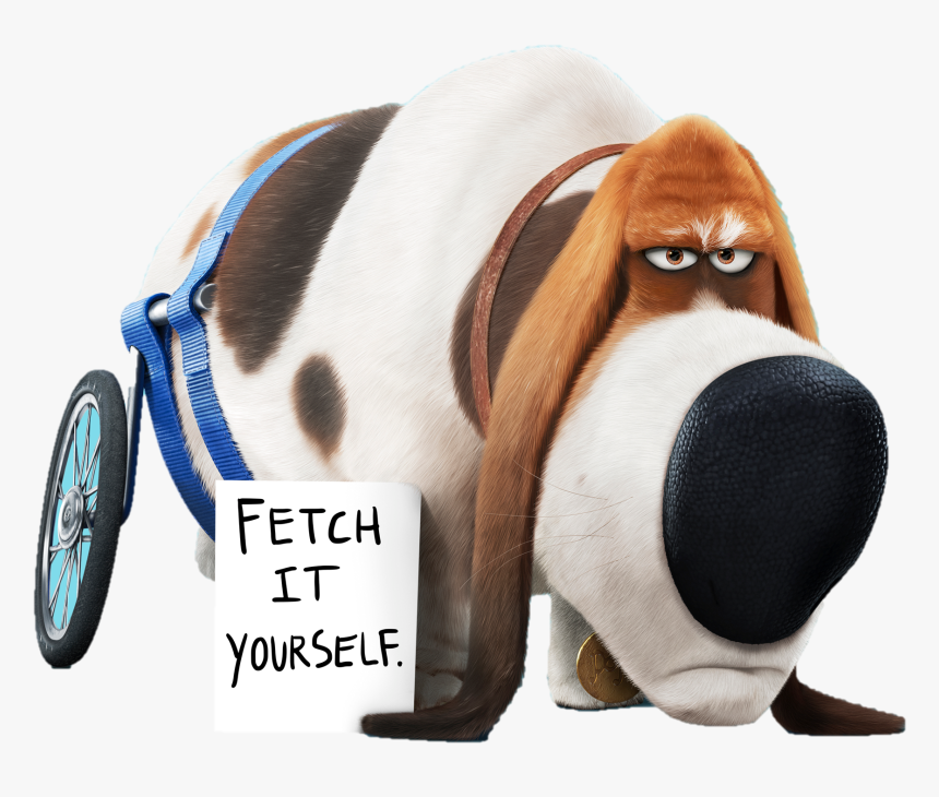 Transparent Secret Clipart - Secret Life Of Pets Pets, HD Png Download, Free Download