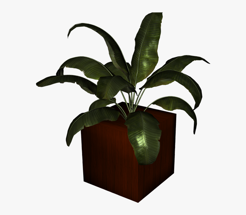 Thumb Image - Pot Bunga Png, Transparent Png, Free Download