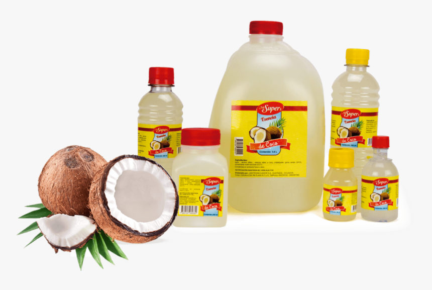 Dry Coconut, HD Png Download, Free Download