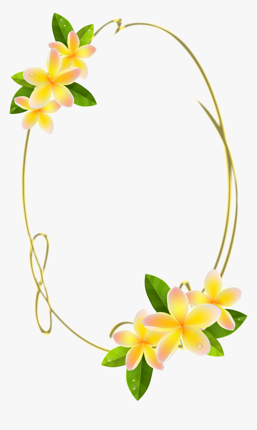 Flower Cartoon White Background, HD Png Download, Free Download