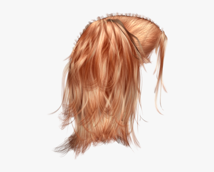 Hair Clipart Crazy Wig, HD Png Download, Free Download