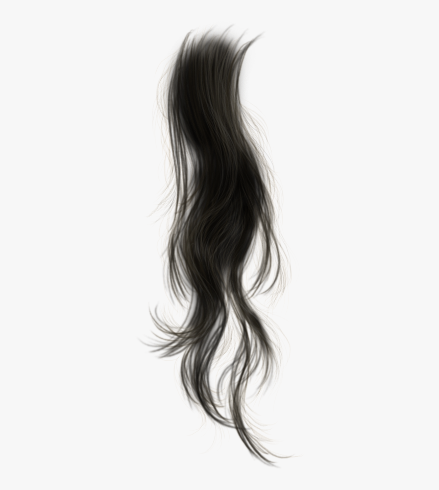 Transparent Hair Strand Png, Png Download, Free Download