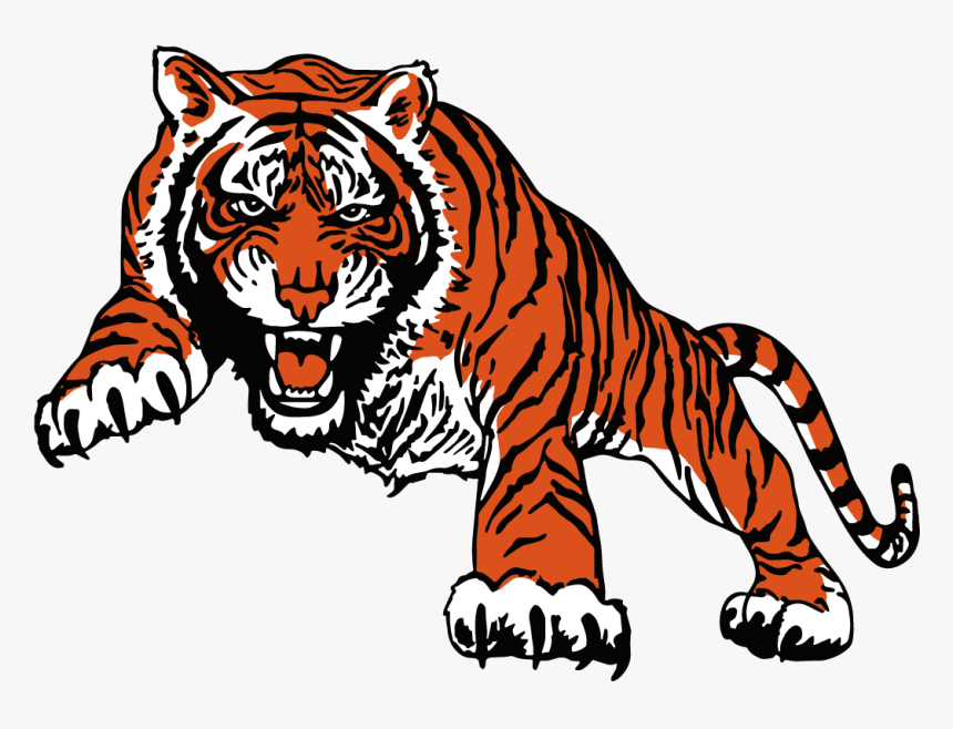 Angry Tiger Png - Bengal Tiger, Transparent Png, Free Download