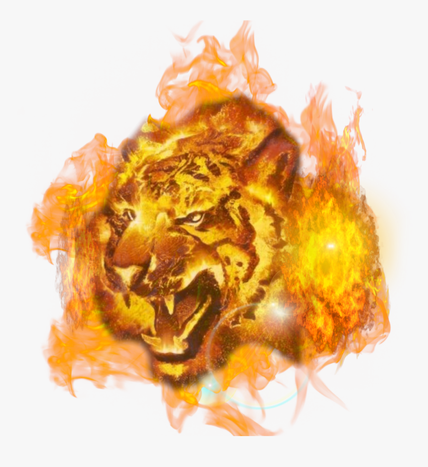 #freetoedit#eemput #png #tiger #tigers #fire - Black And Red Fire Tiger, Transparent Png, Free Download