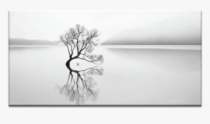 Serenity - Monochrome, HD Png Download, Free Download