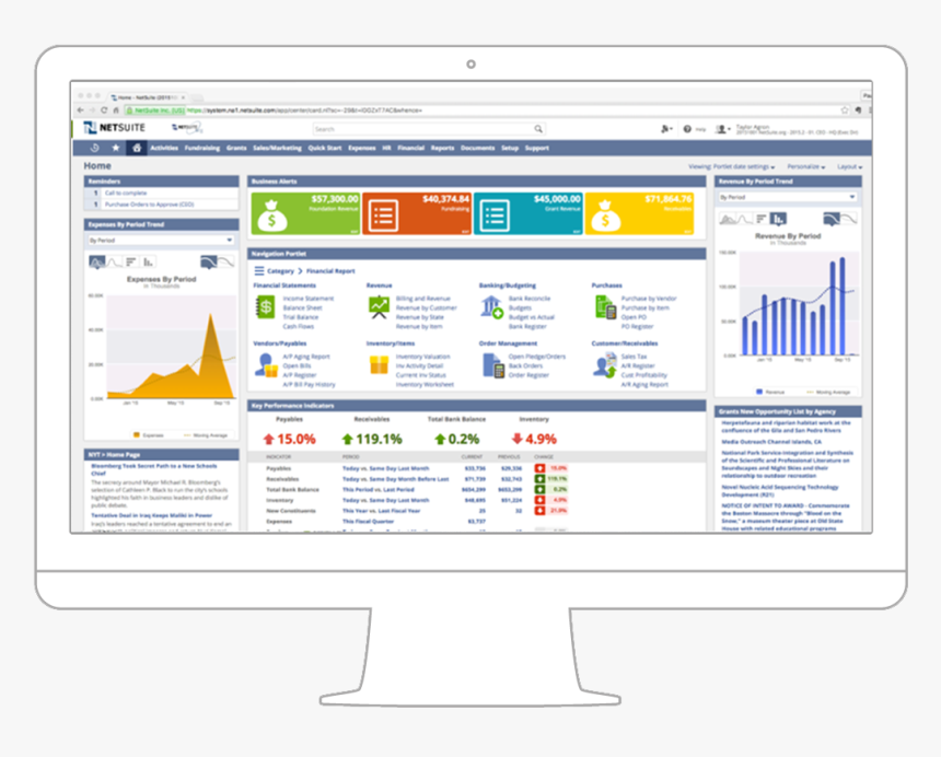 Embedded Analytics - Netsuite Erp, HD Png Download, Free Download