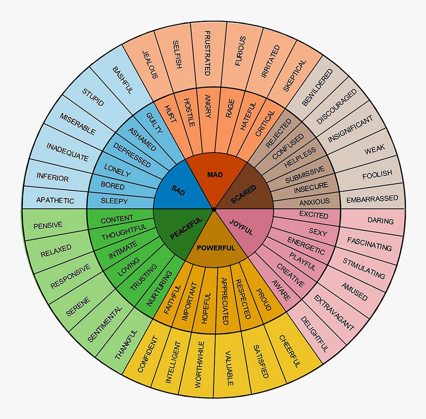 Gloria Willcox Feeling Wheel, HD Png Download, Free Download