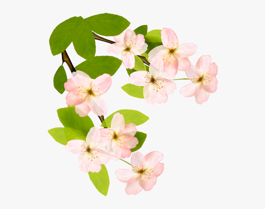 Flowering Dogwood Clipart , Png Download - Corner Dogwood Flower Border, Transparent Png, Free Download