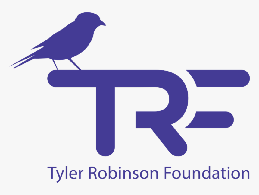 Imagine Dragons Tyler Robinson Foundation, HD Png Download, Free Download