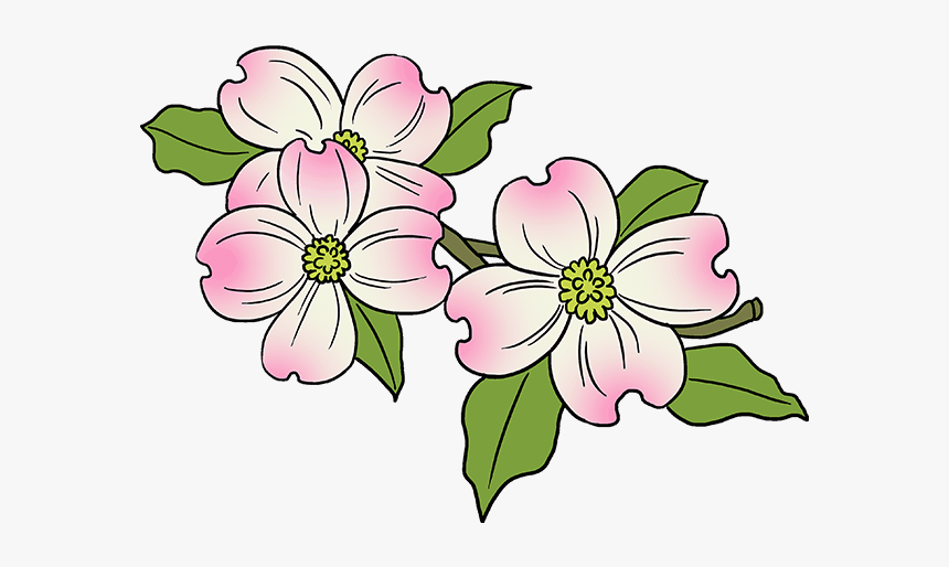 Easy Dogwood Flower Drawing, HD Png Download, Free Download