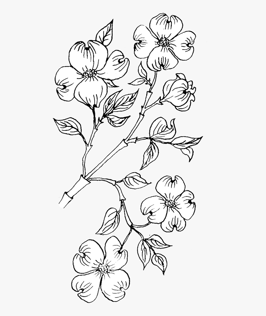 Dog Wood Coloring Pages, HD Png Download, Free Download