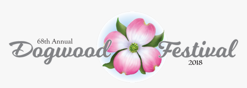 Pink Dogwood Flower, HD Png Download, Free Download