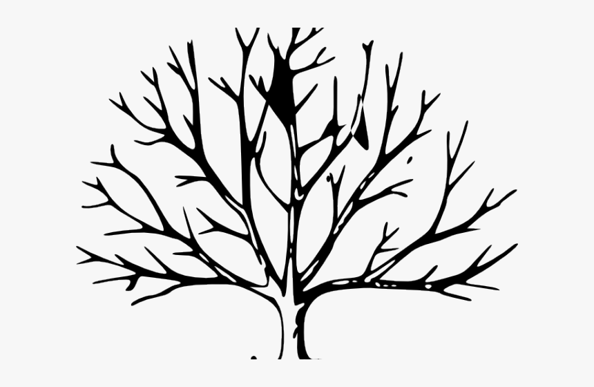 Dogwood Tree Drawing - Black Outline Of A Tree, HD Png Download, Free Download