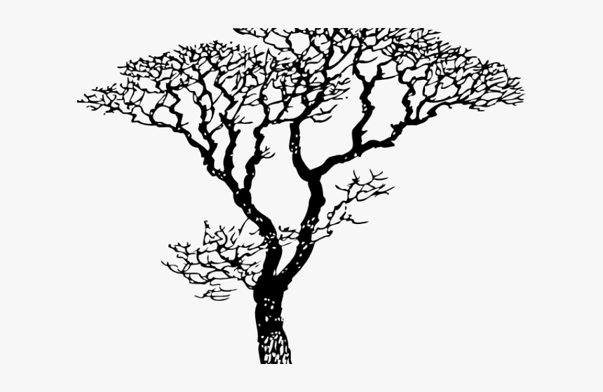 Dogwood Tree Drawing - Vector Tree Draw, HD Png Download, Free Download