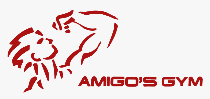 Amigos Gym Fitness Center Boxing Zumba Free Weights - Protein Supplements Company Logos, HD Png Download, Free Download