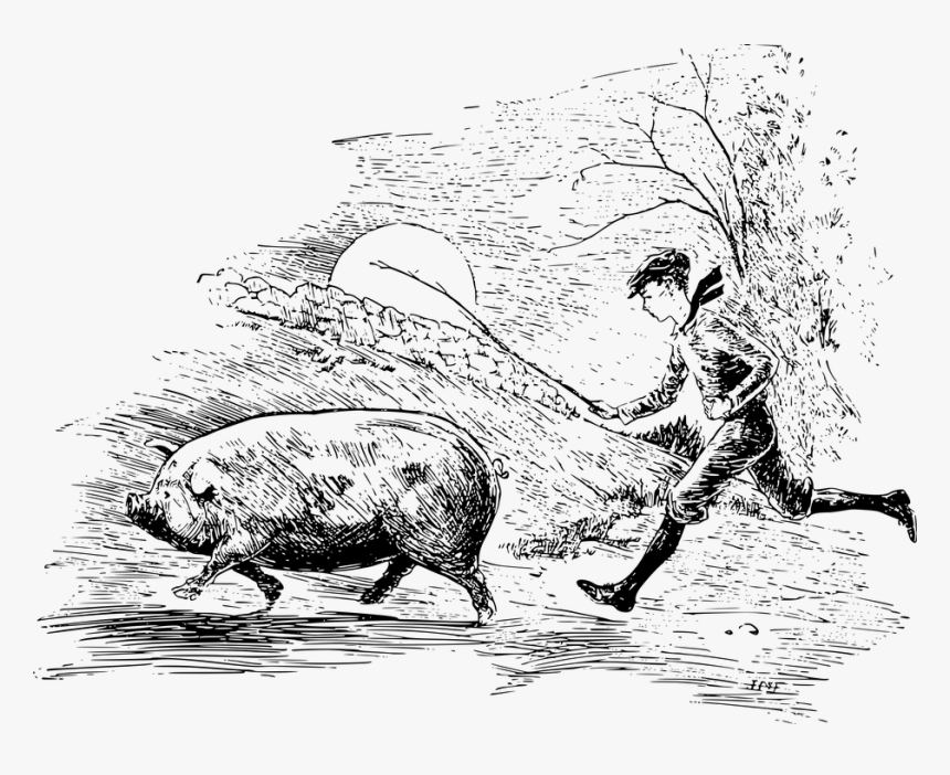 Baton, Boy, Pig, Stick - Running Pig Drawing, HD Png Download, Free Download