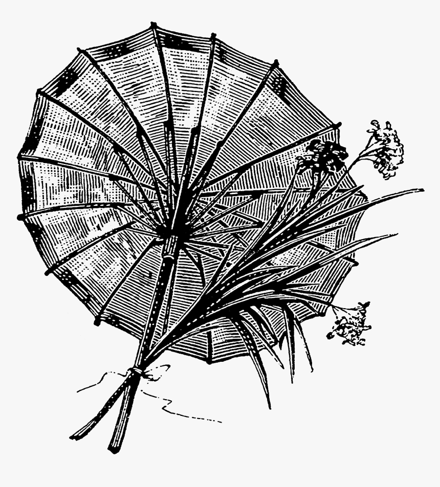 Victorian Clipart Transparent - Umbrella, HD Png Download, Free Download